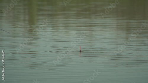 Fishing float. Fish bite on the float. Fishing on the river.