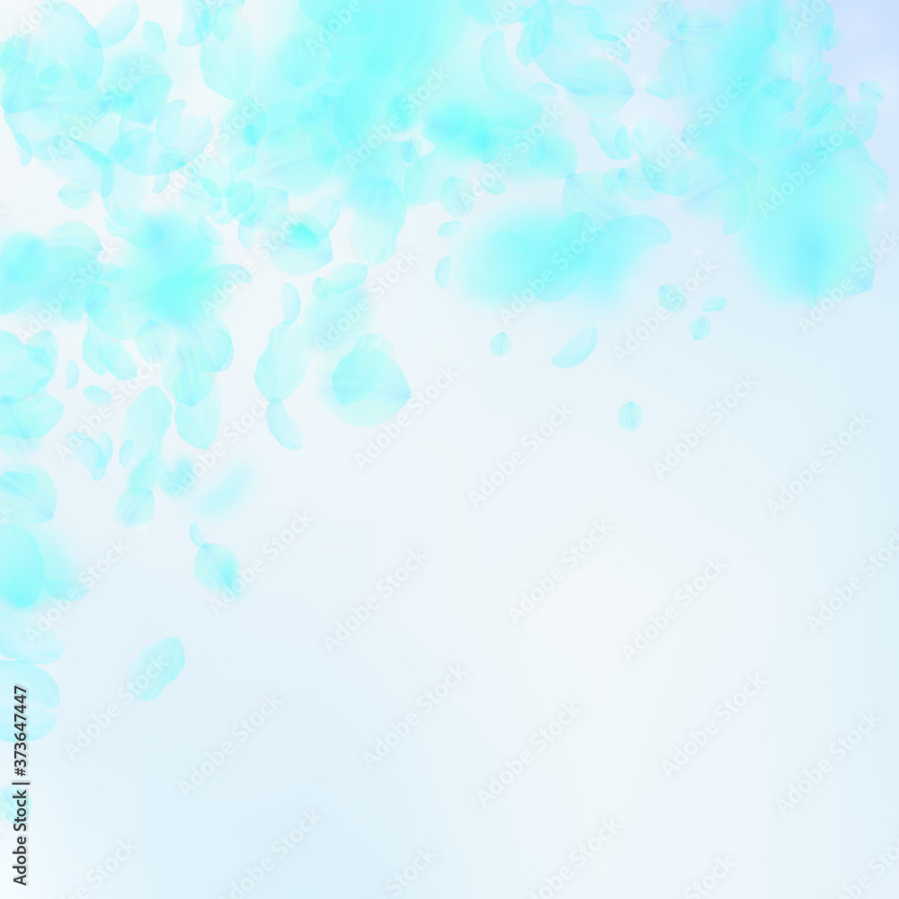 Turquoise flower petals falling down. Alive romant Turquoise flower petals falling down. Alive romant