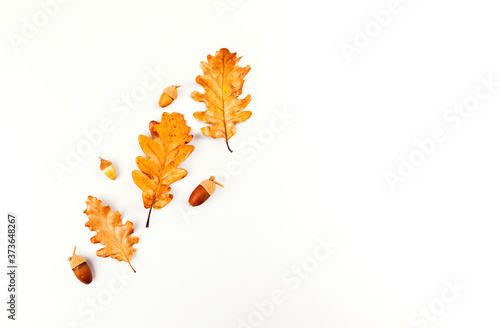 Autumn composition. Frame made of autumn leaves, acorn, pine cones on white background. Flat lay, top view, copy space.