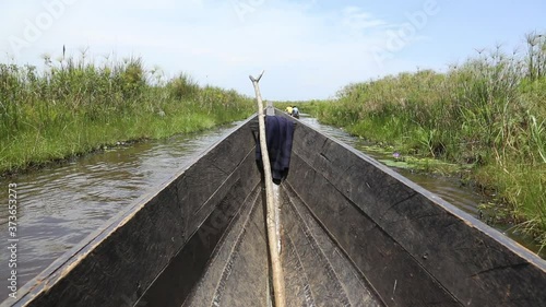 sailing in a canoe at Mabamba swamp photo