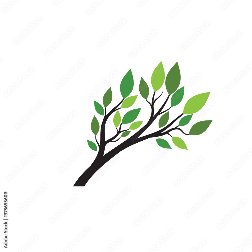 Fototapeta premium Tree Logo template vector icon