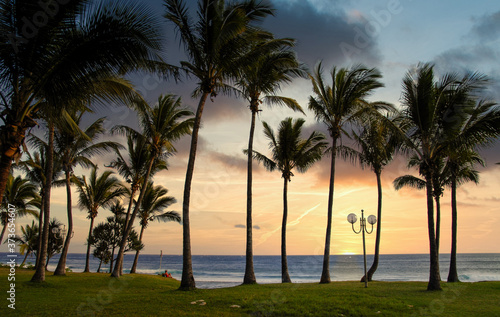 Palm trees sunset, blue sky backlight