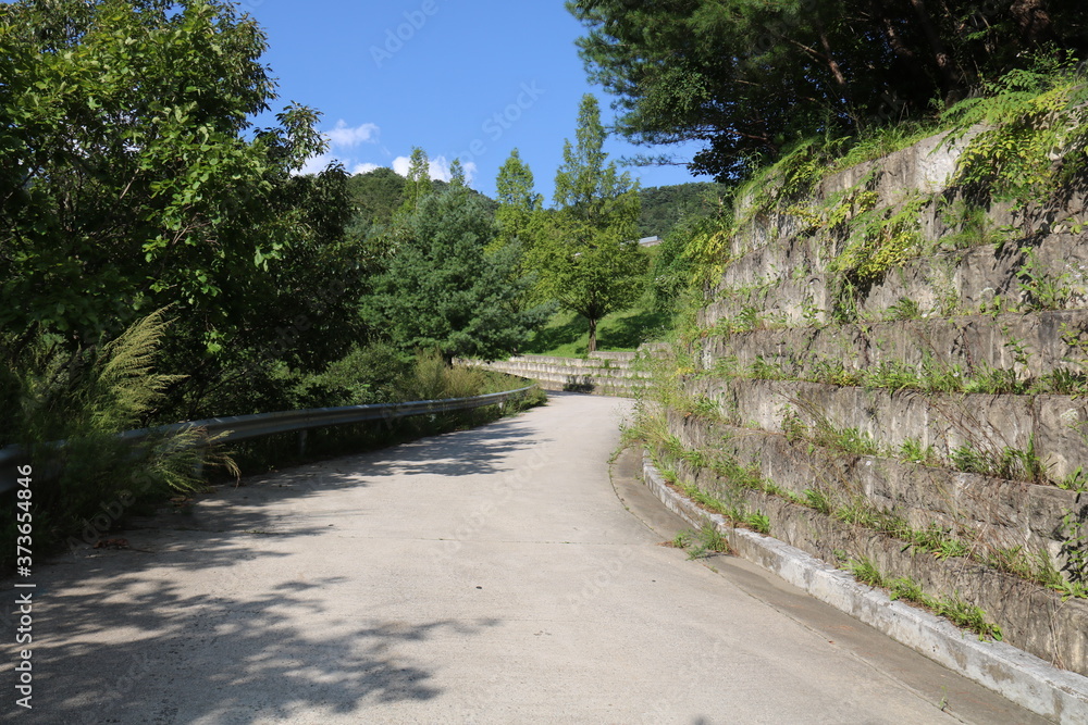 road in the mountains