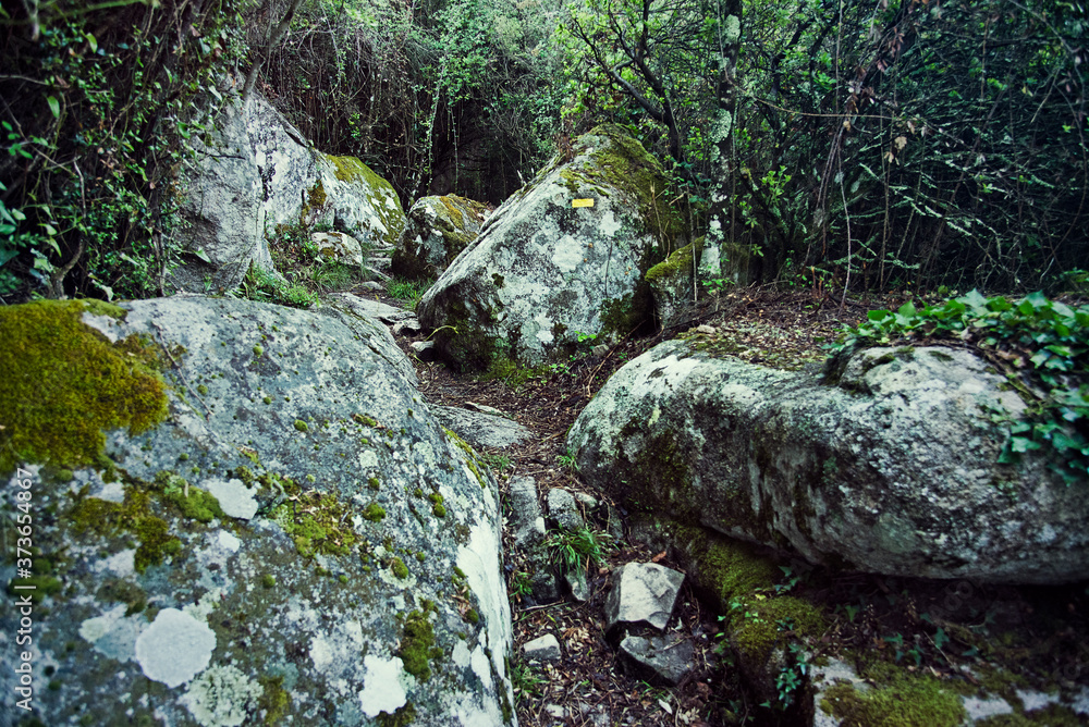 Steiniger Wanderweg Steiniger Wanderweg