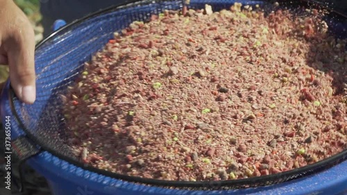 Fisherman prepares groundbait for fishing. Multicolor groundbait for carp, bream and other fish. 