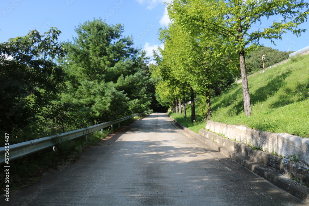 path in the park