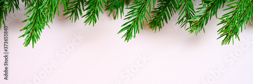 christmas tree branches frame on a pink background. space for text. banner