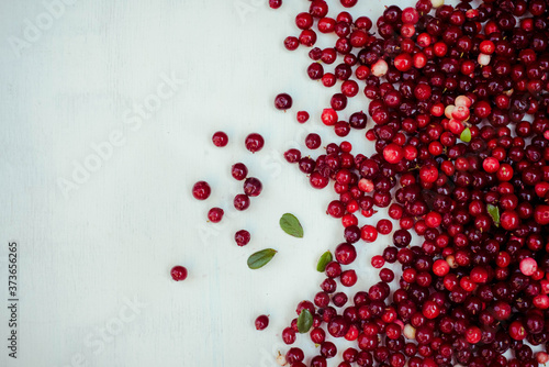 berries of a cranberry on a white background photo