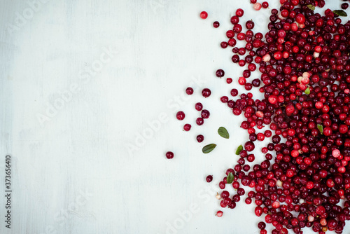 berries of a cranberry on a white background photo