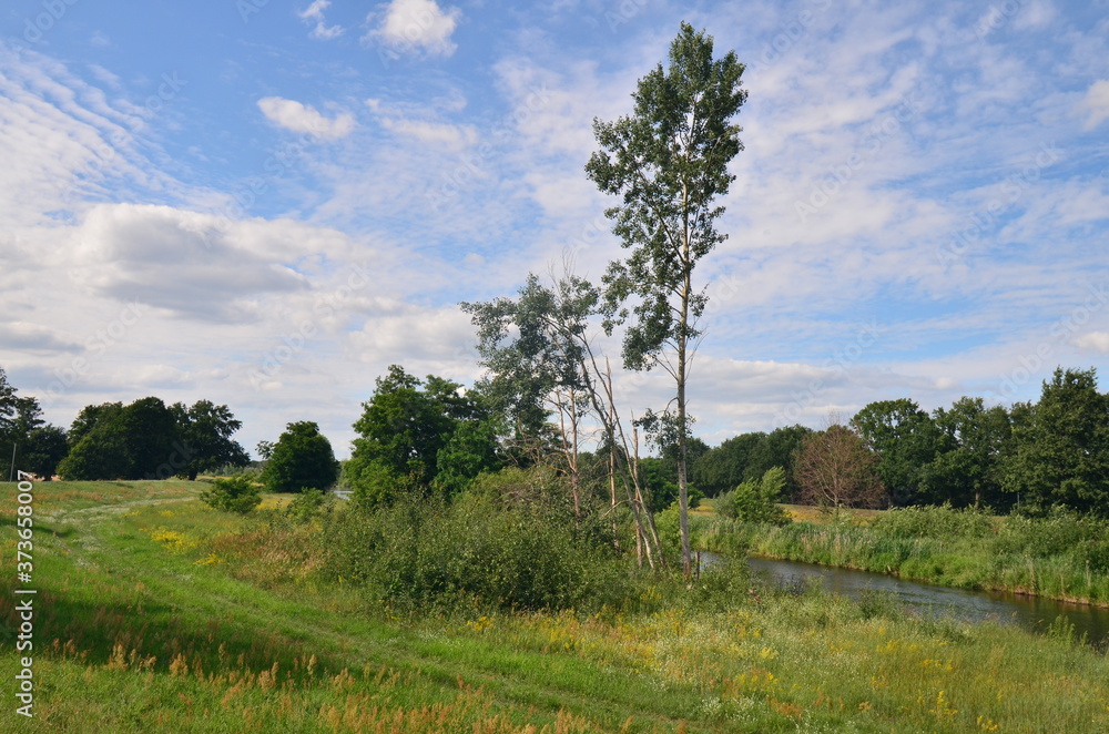 Natur pur Natur pur