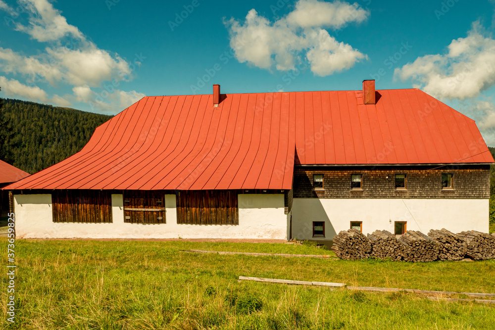 House with red roof and blue sky in green meadow