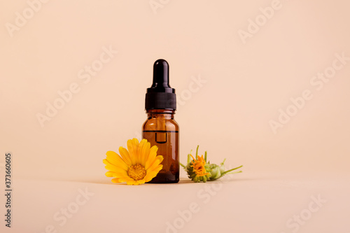 Dark cosmetic bottle of aromatic oil for herbal medicine with calendula flower on a beige backdrop with trendy shadows. Marigold extract.