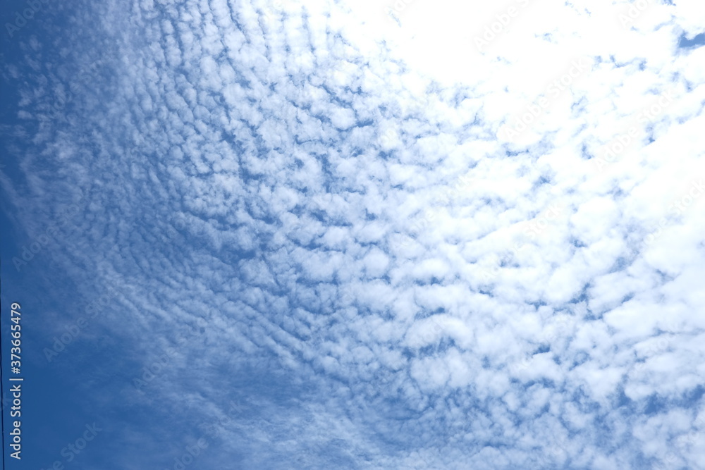 The sky with white clouds The sky with white clouds