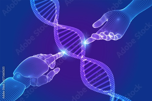 Wireframe DNA sequence molecules structure mesh. Hands of robot and human touching on DNA connecting in virtual interface on future. Artificial intelligence technology concept. Vector illustration.