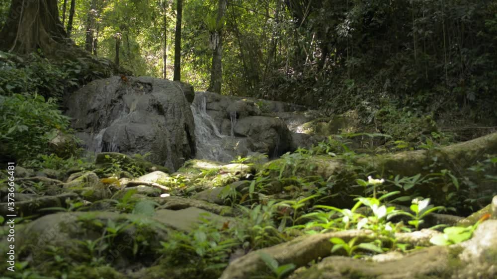 Abundance of tropical forest with waterfall flowing through the rock among green vegetation. Fresh water flows from cascade in the jungle during summer. Sa Nang Manora Forest Park. Thailand. Abundance of tropical forest with waterfall flowing through the rock among green vegetation. Fresh water flows from cascade in the jungle during summer. Sa Nang Manora Forest Park. Thailand.