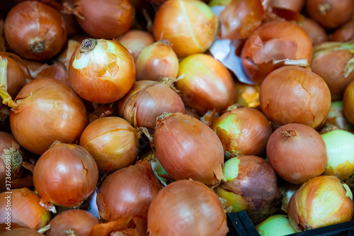 Image of boxes with onion for sale in supermarket, nobody