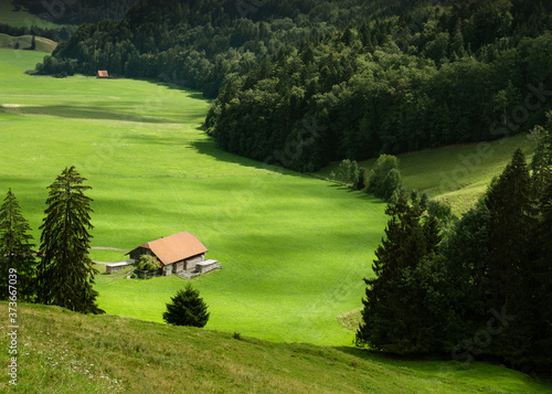 Farm and green fields of Gruyere region, Switzerland  photo