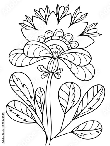 Fototapeta Naklejka Na Ścianę i Meble -  Floral fantasy fairy plant coloring illustration for book Black and white image with herbal elements anti stress vector graphics print for textile stroke doodle sketch Abstract postcard page