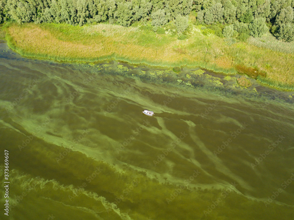 Aerial drone view. Boat on the green texture of blooming algae in the river.