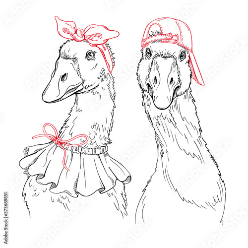 Two cute cartoon geese in clothes. A fun image for printing on any surface.