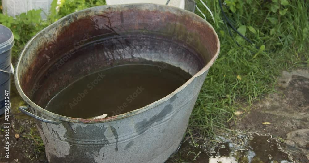 farmer puts a watering can with milk in the cold water farmer puts a watering can with milk in the cold water