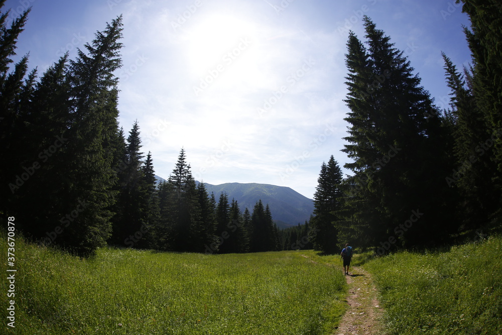 Fototapeta premium Tatra mountains in Summer