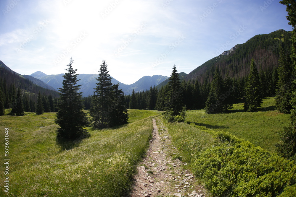 Western Tatra Mountains in the summer