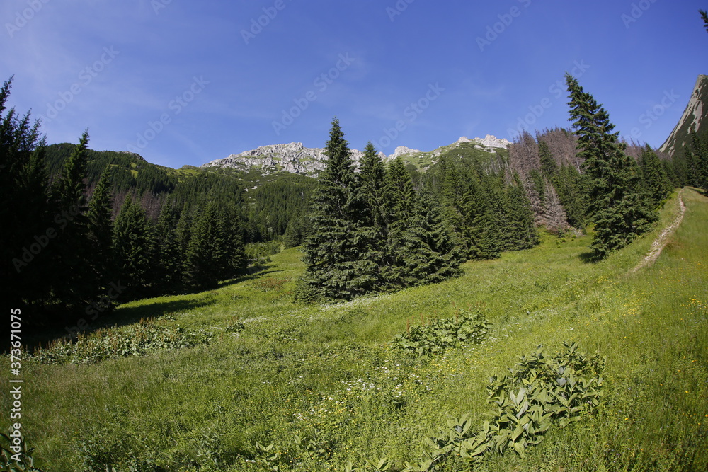 Dolina Tomanowa, Western Tatra Mountains