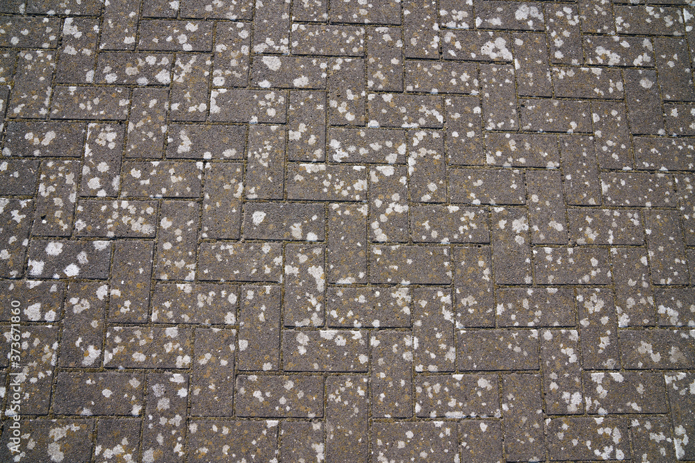 Rectangular, gray paving slabs. Splattered with light paint.