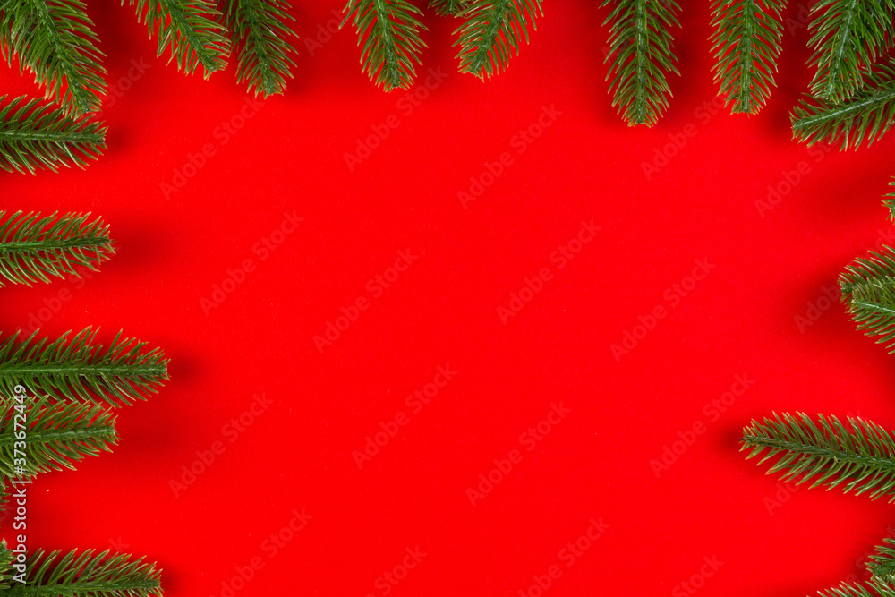 Top view of frame made of fir tree on colorful background with copy space. Merry Christmas concept