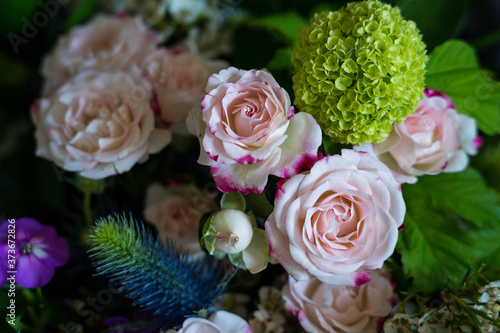 Close up and soft focus on lovely Spring flowers and blooms in pink  green  blue and purple