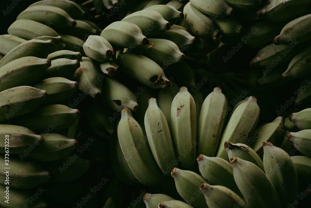 Heap of green banana. Green bananas in the basket. Heap of green banana. Green bananas in the basket.