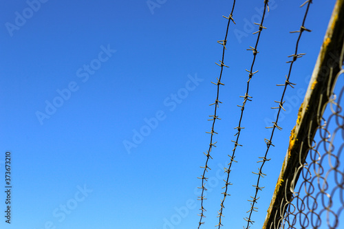 barbed wireguard, abstract, nature, green, color, illustration, texture, industry, pattern, iron, wire, metal, black, prison, security, danger, protection, barbed, barb, boundary, fence, sharp, war, f