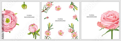 Floral background with pink rose, ranunculus flowers, chamelaucium isolated on a white background. Collection of botanical frames with place for text. Invitation, banner, post on a social network.