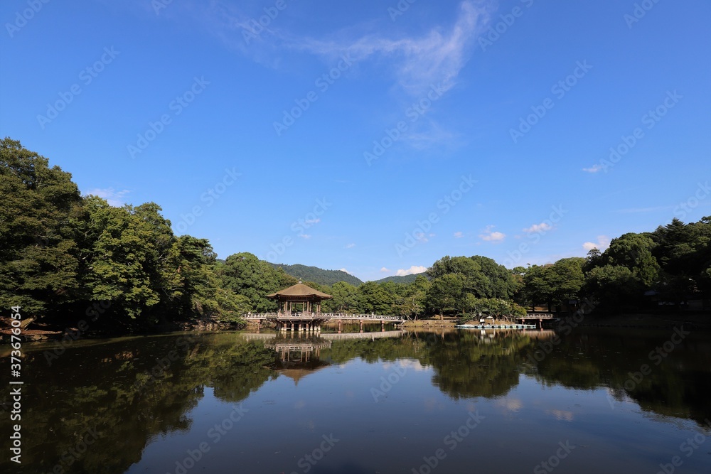 夏の奈良公園