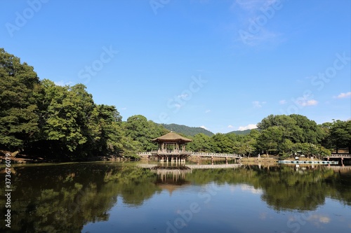夏の奈良公園