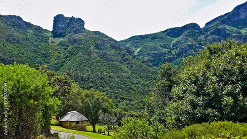 The botanical garden has lush green vegetation. There is a small hut and a bench under the trees. A beautiful mountain range with an unusual shape. Kirstenbosch. Cape Town. South Africa.