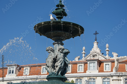 fountain and statue on the Rossio square in Lisbon