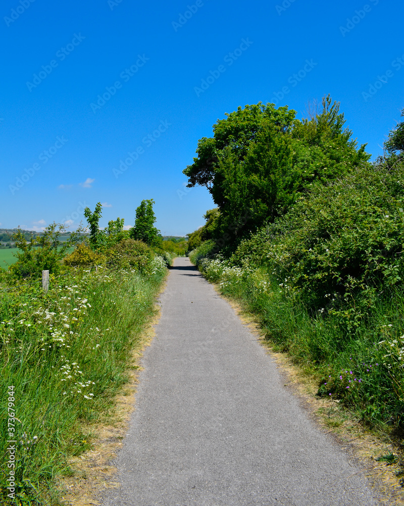 Walking path through the countryside, South Downs Way in Sussex Walking path through the countryside, South Downs Way in Sussex