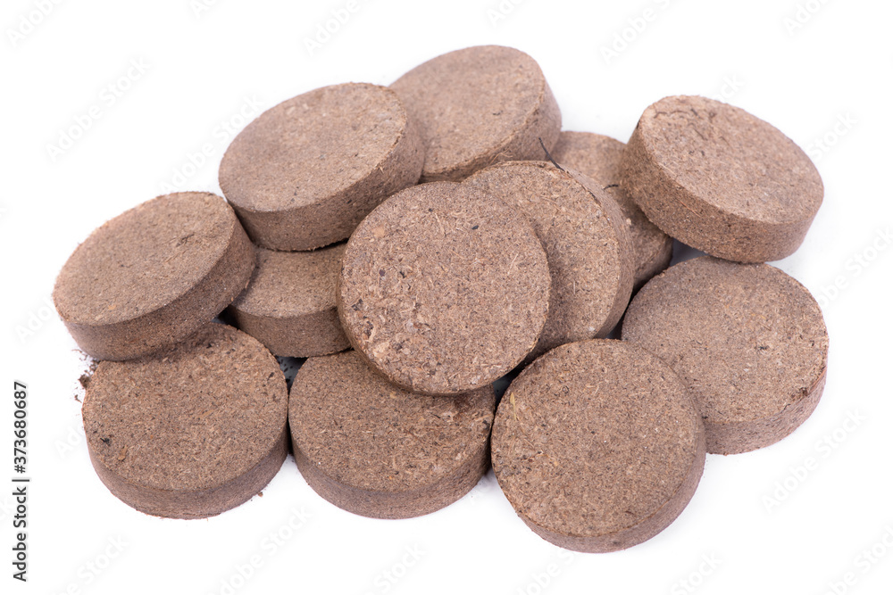 Dry peat pellets, compressed compost tablet isolated over the white Dry peat pellets, compressed compost tablet isolated over the white