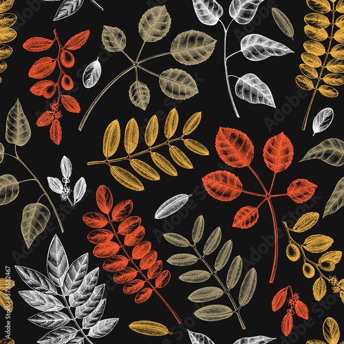 Autumn leaves seamless pattern. With hand sketched forest plants and foliage illustrations. Perfect for invitation, textile, wrapping, packaging. Elegant autumn backdrop photo