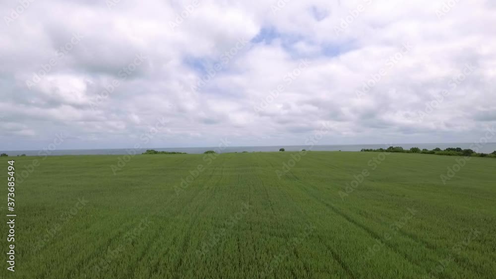 Interesting drone shot of wind blowing over the green pastureland view of clear white clouds in the sky and good sense of relief Interesting drone shot of wind blowing over the green pastureland view of clear white clouds in the sky and good sense of relief