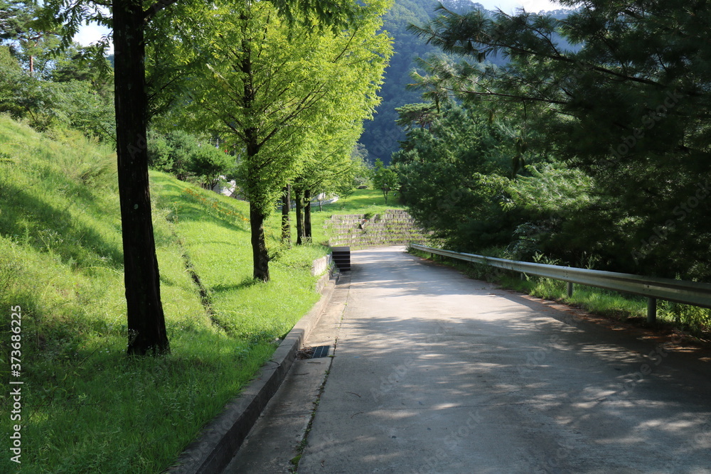 Obraz premium walk in the park