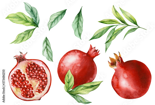 Watercolor illustration. Set of drawings of a ripe pomegranate with leaves.