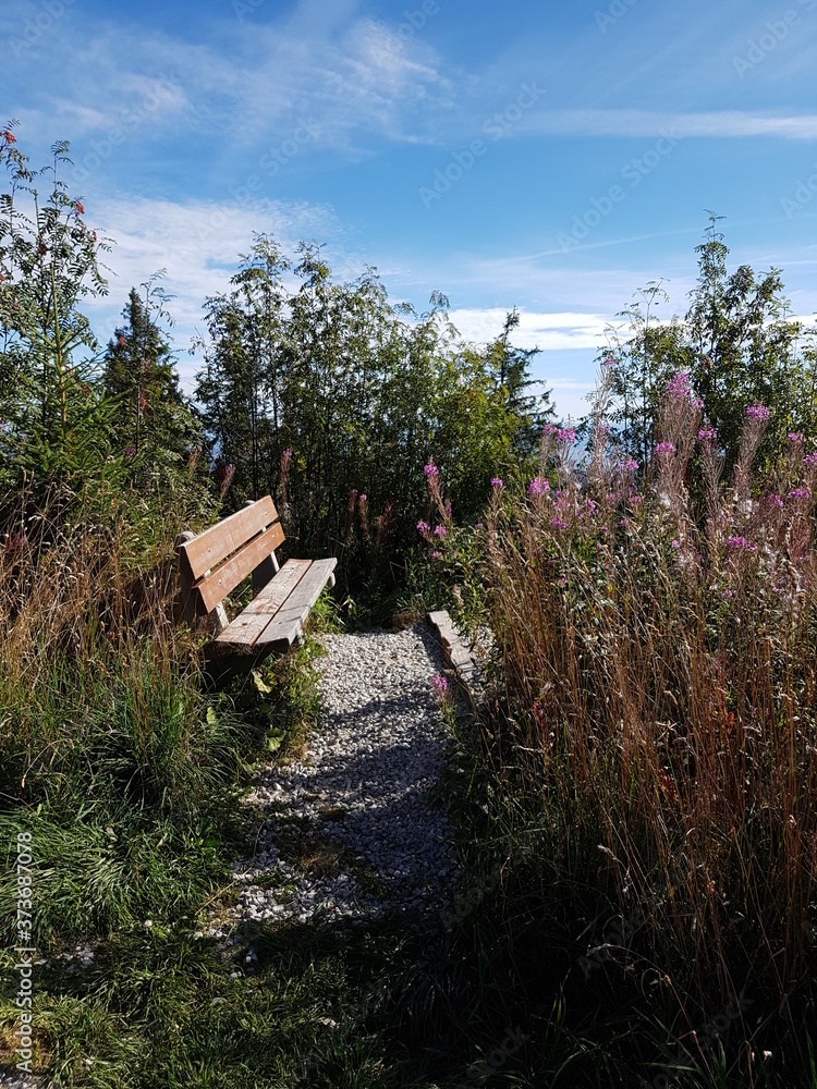 Wanderung zum Gäggere-Steg im Gantrischpark Wanderung zum Gäggere-Steg im Gantrischpark