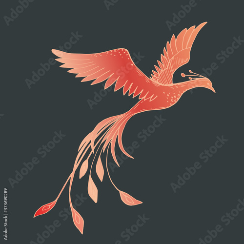Vector image of a red firebird on a dark background