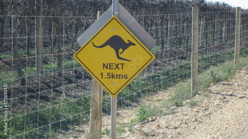 schild australien kangorroh., kanguruh voraus straßenschild urlaub ferien  photo