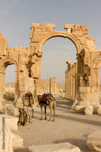 Palmyre Syria 2009 The ruins of an ancient city dating from the Roman period photo