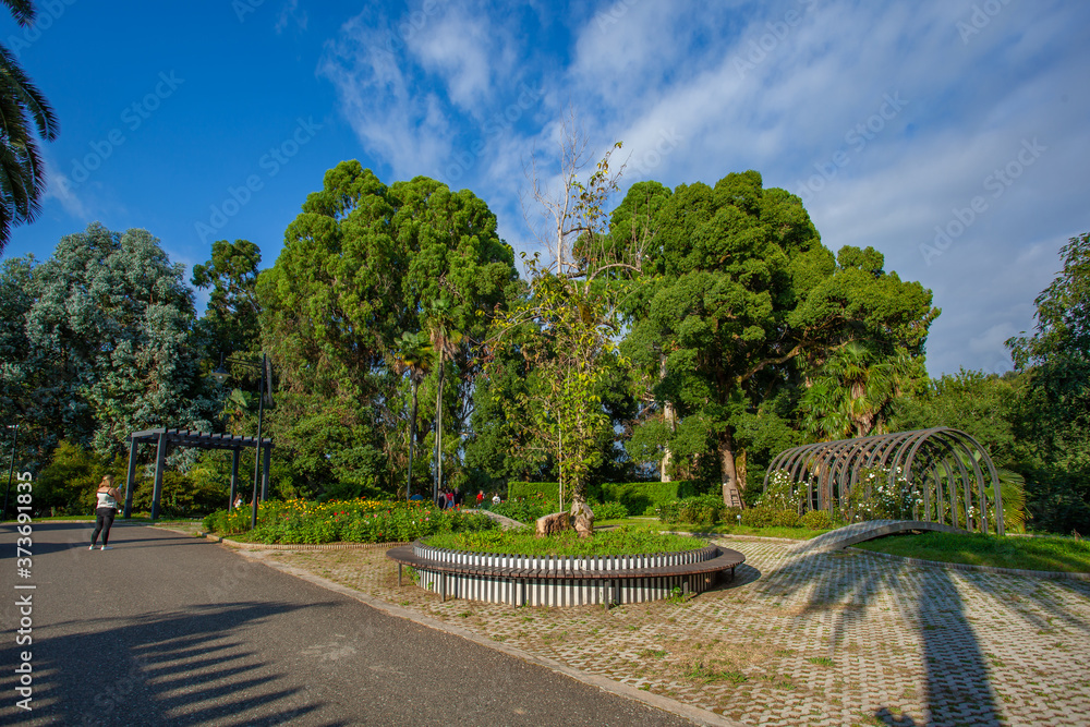 Beautiful view of Batumi Botanical Garden is located near Batumi