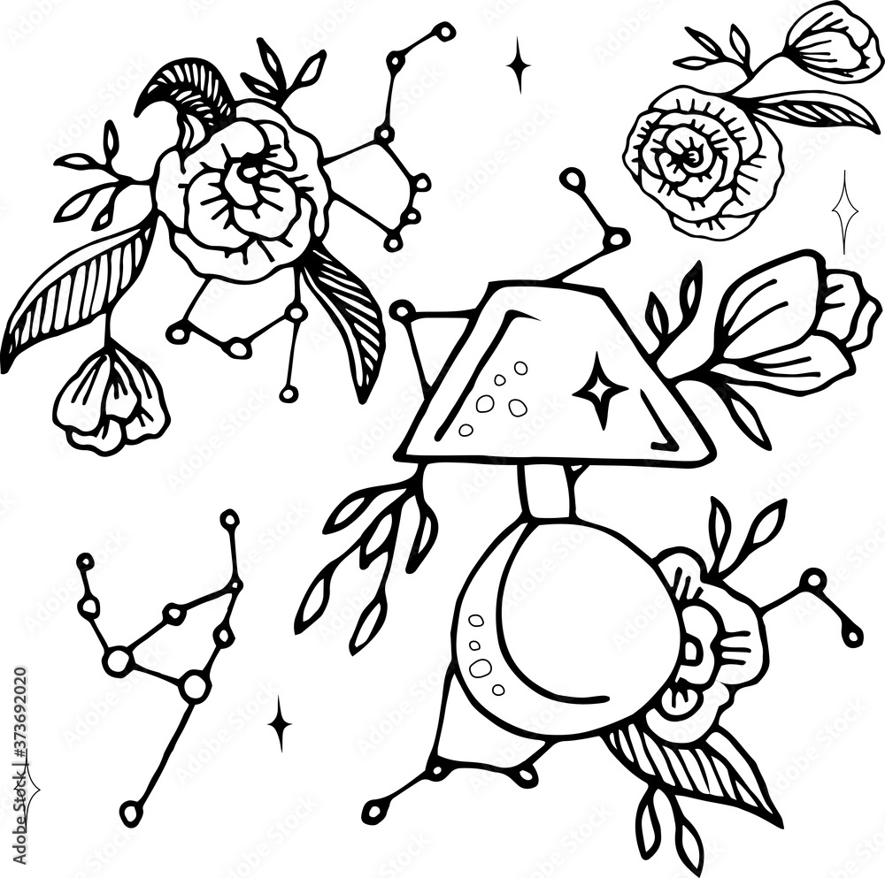 Fototapeta premium Set of cute vector doodle illustrations on the theme of night and constellations. Concept design for decoration.
